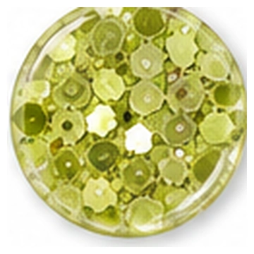 Chunky Glitter — Pistachio