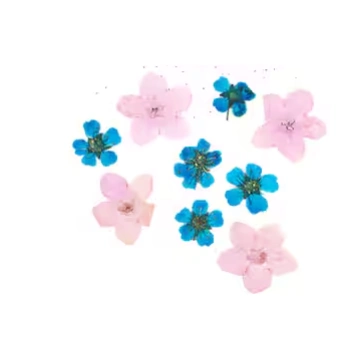 Sprinkles & Add-ins — Pink & Blue Pressed Flowers