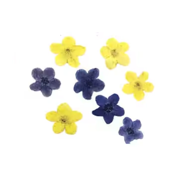 Sprinkles & Add-ins — Yellow & Purple Pressed Flowers
